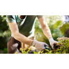 Personalised Gardening products
