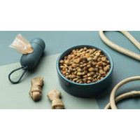 Promotional Pet products Promotional Pet products