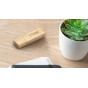 Custom Eco USB sticks