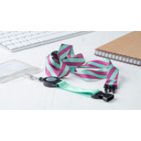 Custom Lanyards with telescopic pass holder Custom Lanyards with telescopic pass holder