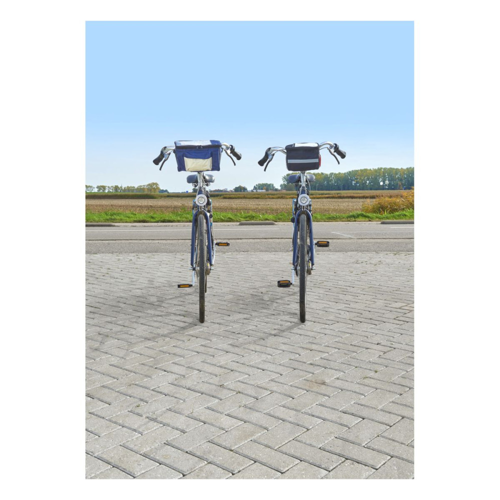 PRISHA - Polyester (600D) bicycle cooler bag