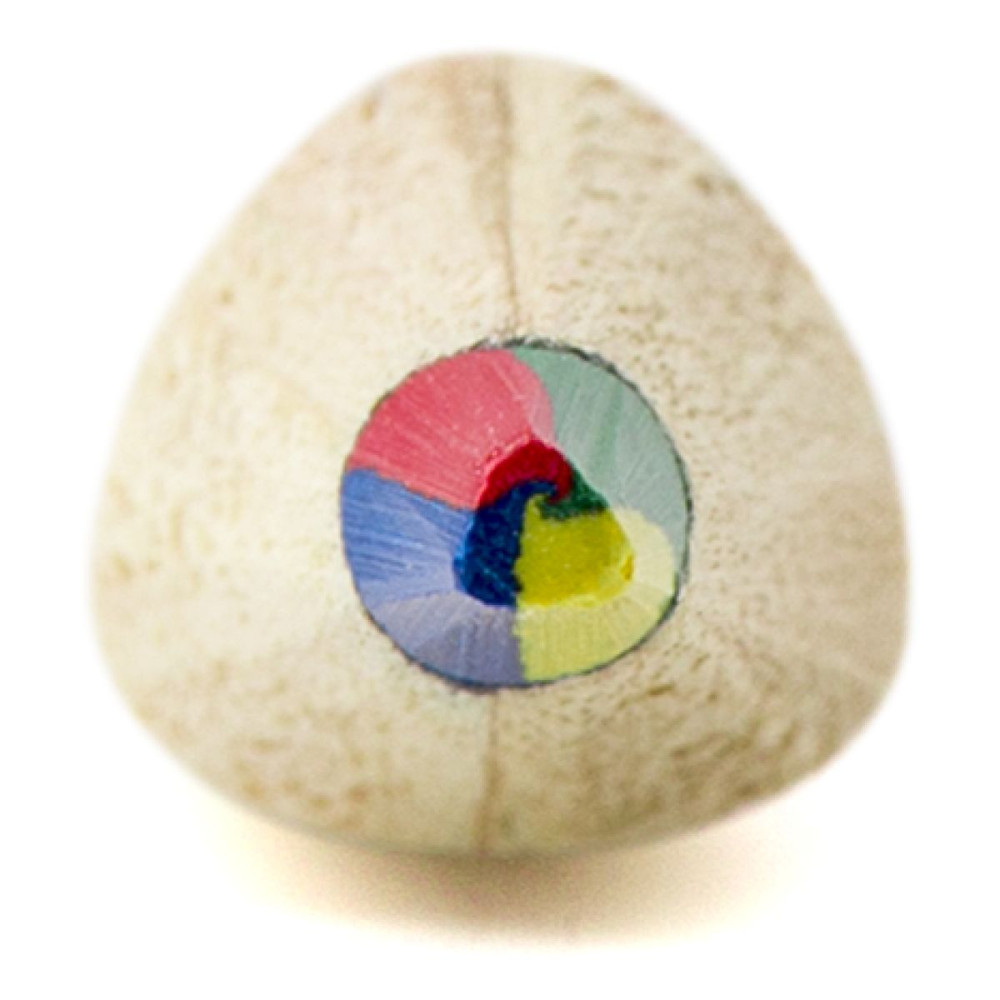 MAE - MultiColored pencil