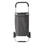 SUSANITA - Polyester (320-330 gr/m²) cooler, shopping trolley