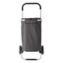 SUSANITA - Polyester (320-330 gr/m²) cooler, shopping trolley