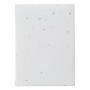 PATRICIA - Paper sticky notes seed paper