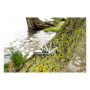CAROL - Stainless steel pocket knife CAROL - Stainless steel pocket knife