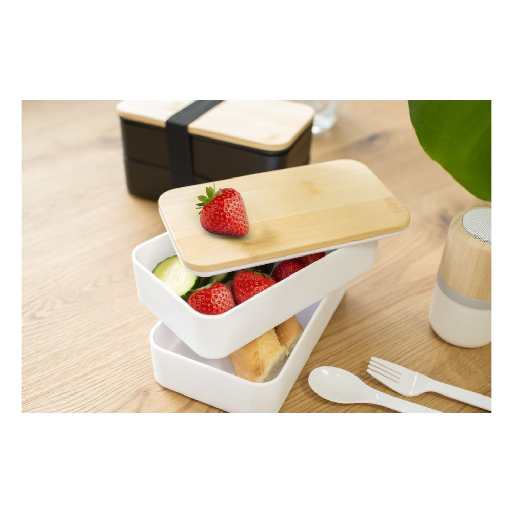 MAXTON - PP double layer lunch box