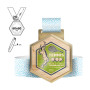 HIROSHIMA - steel and plywood medal 4mm, 60x60 mm HIROSHIMA - steel and plywood medal 4mm, 60x60 mm