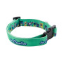 ZIGGY - custom dog collar ZIGGY - custom dog collar