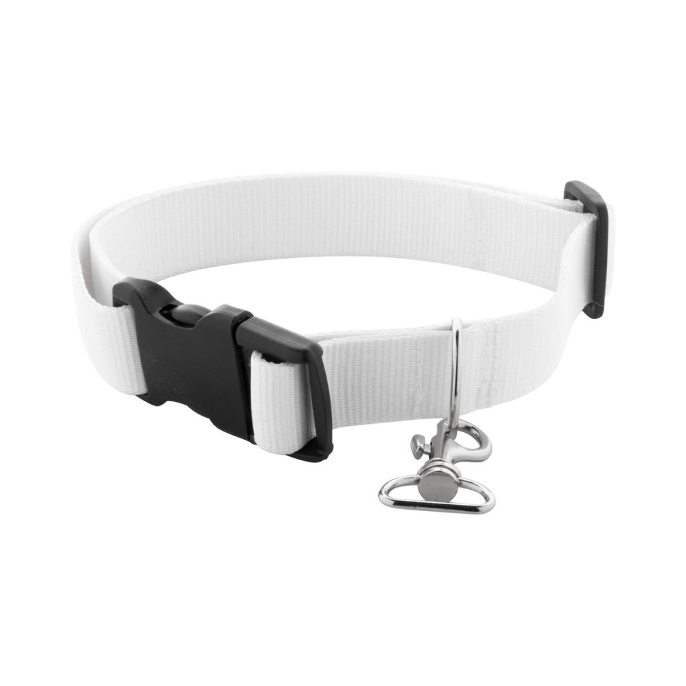 ZIGGY - custom dog collar