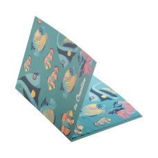 DIOPTRY MAIL - postcard glasses cloth