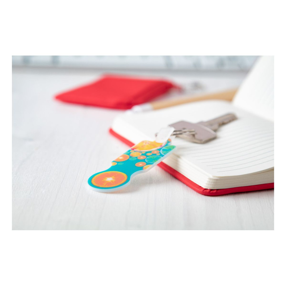 COLOCART - trolley coin keyring