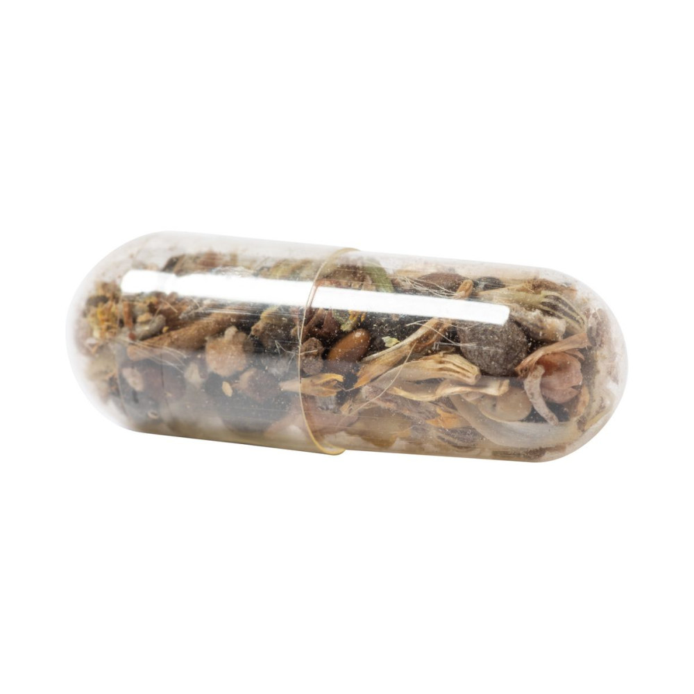BIYOK - flower seed capsule