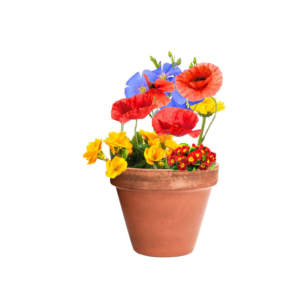 BIYOK - flower seed capsule