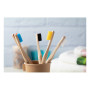 COLOBOO - bamboo toothbrush COLOBOO - bamboo toothbrush