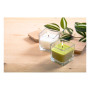 CUBAMA - candle, green apple CUBAMA - candle, green apple