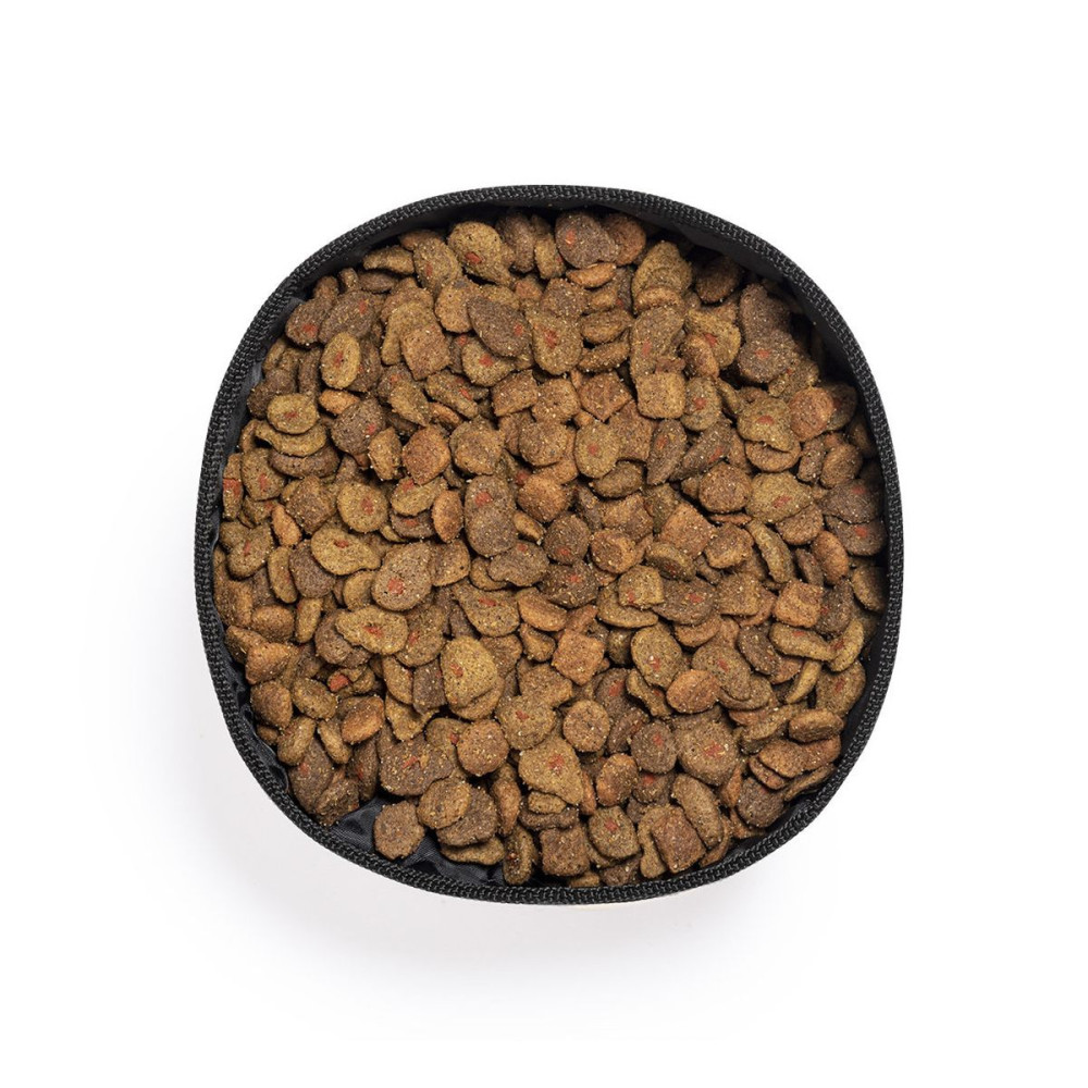 POPPY - Foldable Bowl