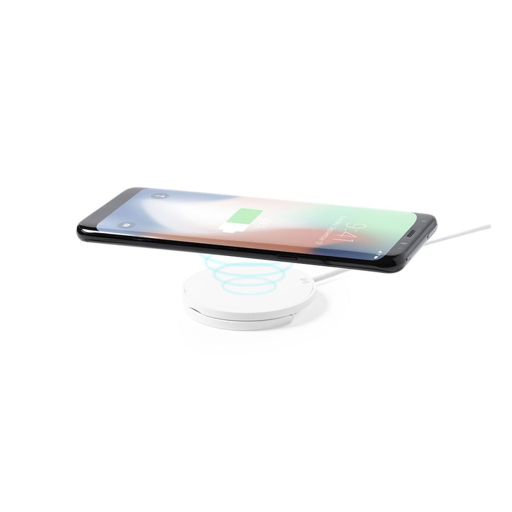 DIXLEM RCS - Charger
