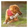 SALMER - Dog Chew Toy SALMER - Dog Chew Toy