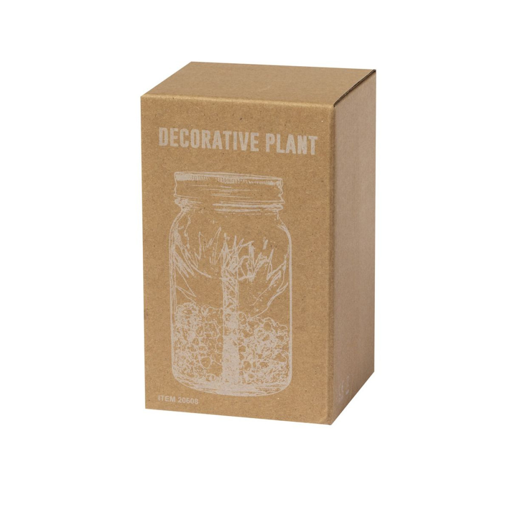 KYALA - Decorative Plant