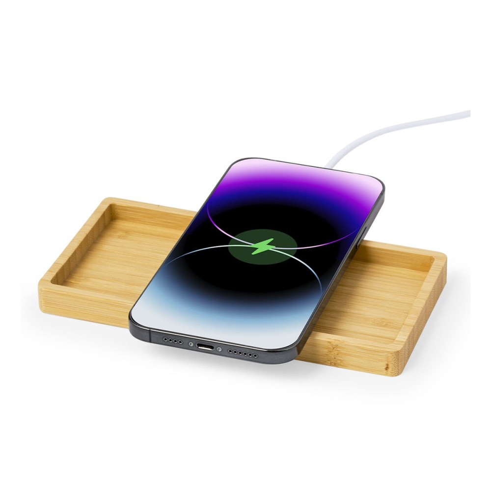 TREIT - Organizer Charger