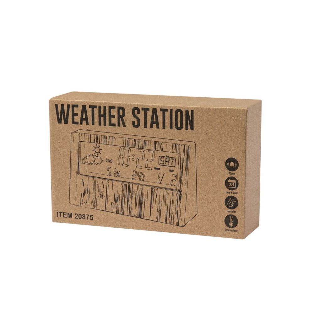 ROAMER - Weather Station