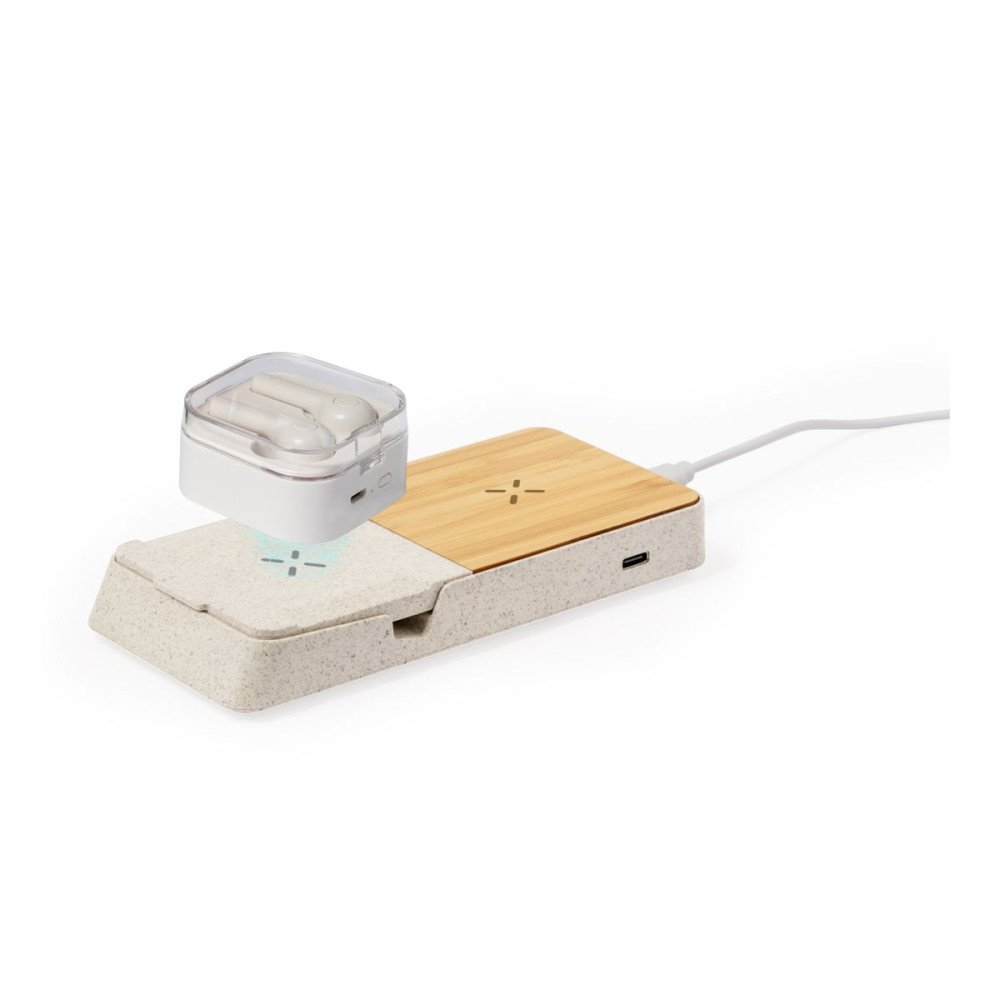 BARICHEN - Charger