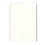 BITAR - Seeds Notebook BITAR - Seeds Notebook