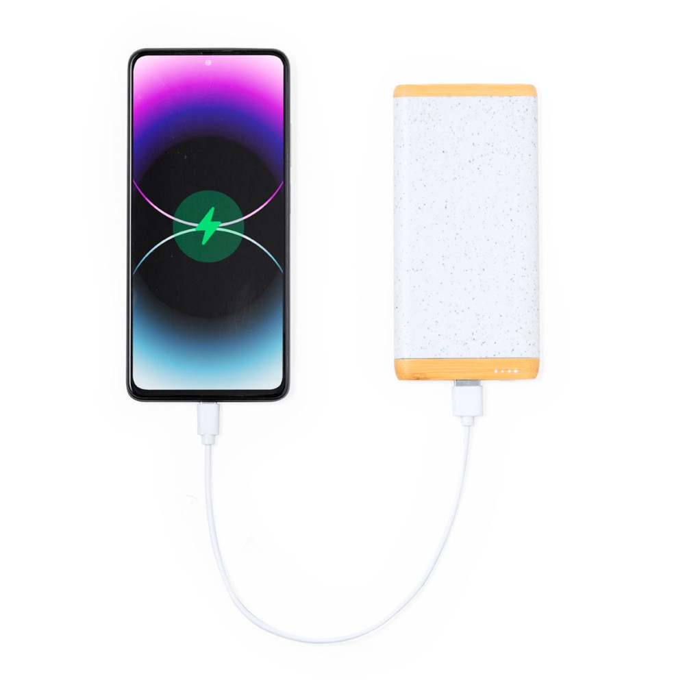 COQUIN - Power Bank