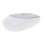 DORYT RCS - Mouse DORYT RCS - Mouse