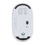 DORYT RCS - Mouse DORYT RCS - Mouse