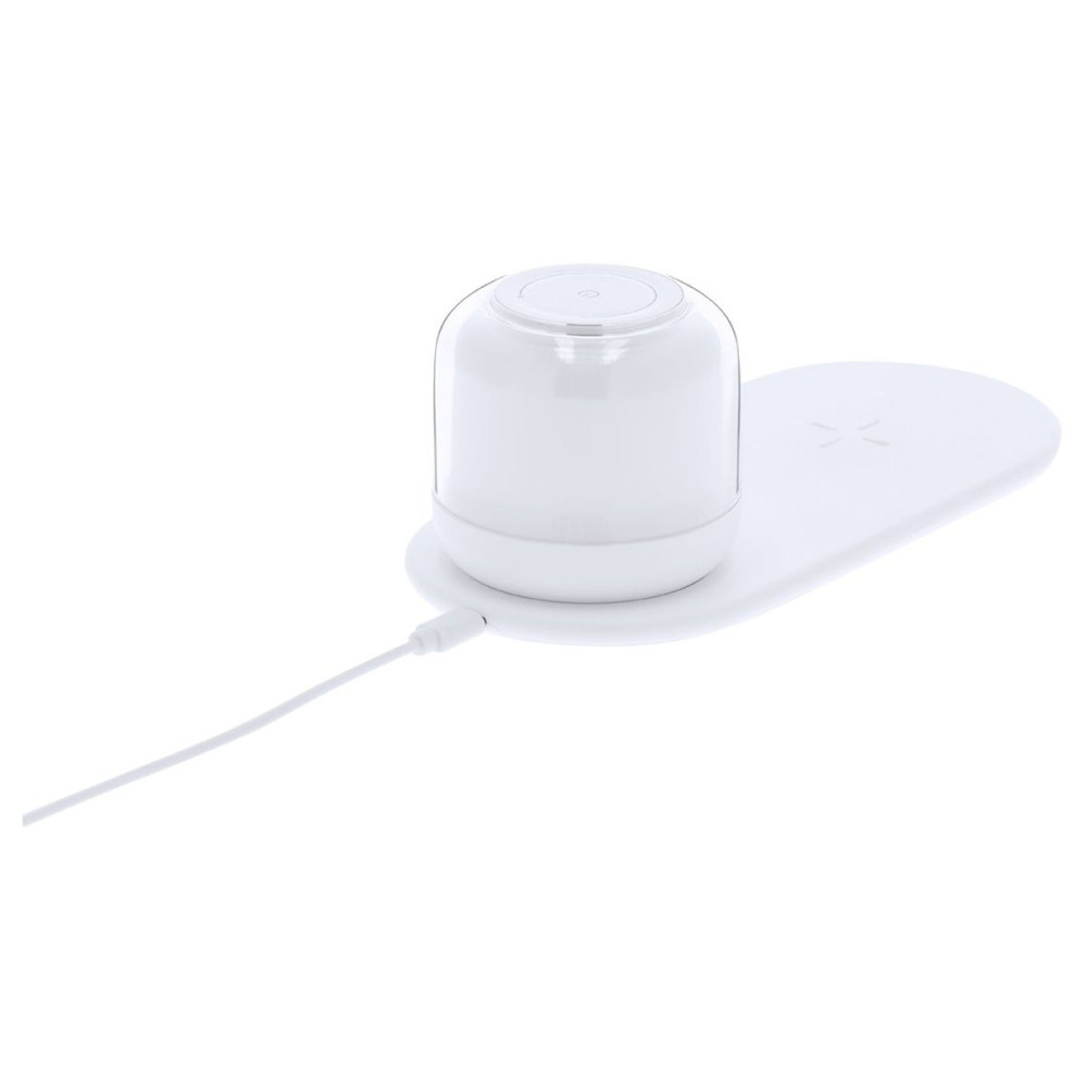 REGINAL - Charger Lamp