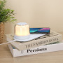 REGINAL - Charger Lamp REGINAL - Charger Lamp