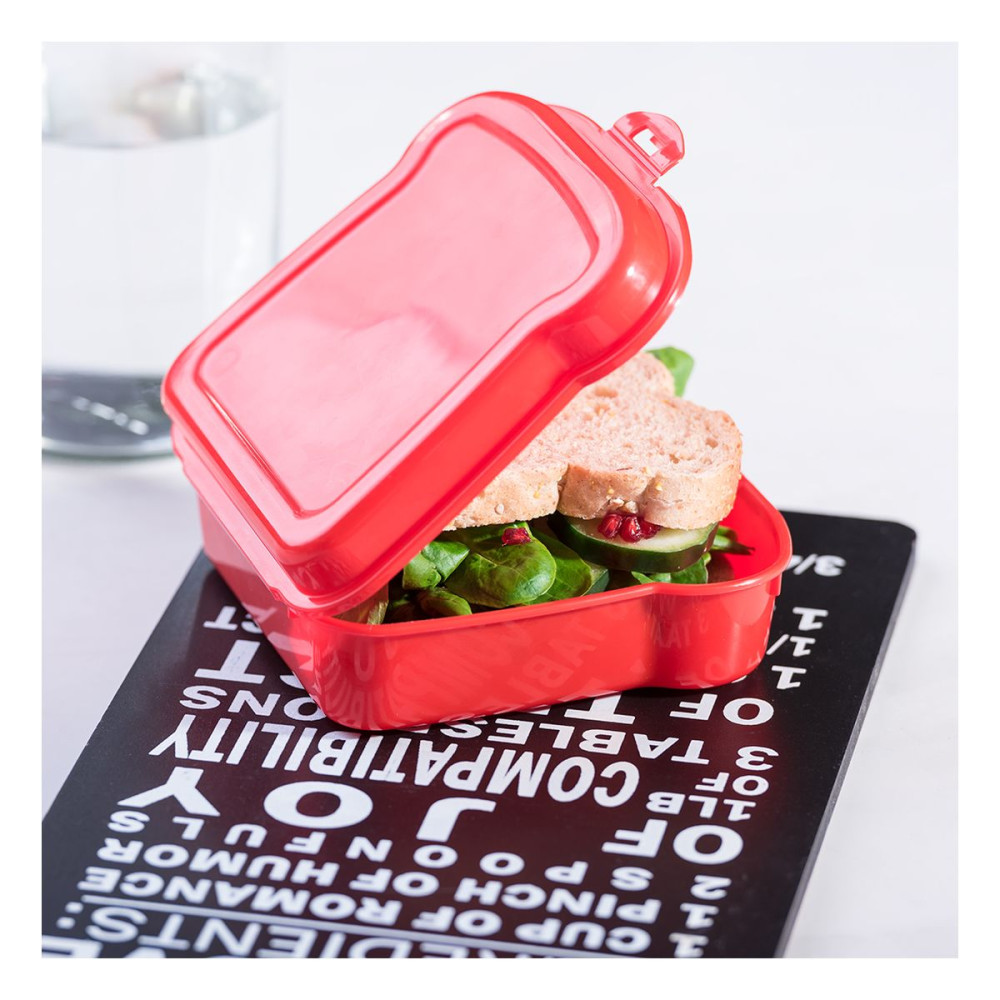 NOIX - Sandwich Lunch Box