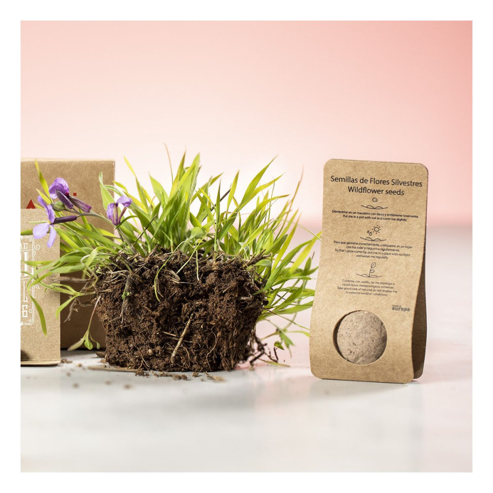 MUSSOX - Seed Bonbons