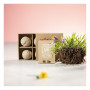 TOMARUX - Garden Kit TOMARUX - Garden Kit