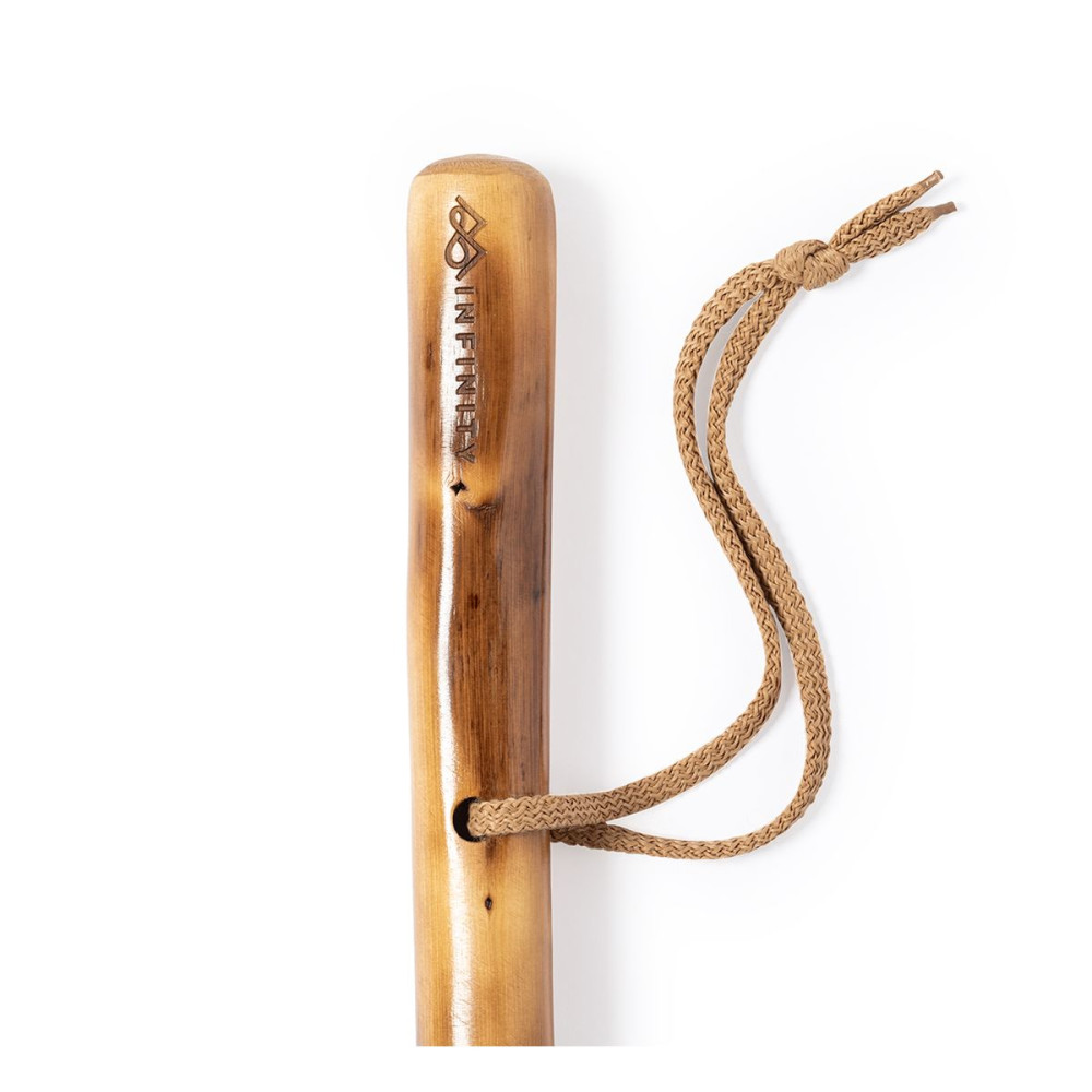 TAMDAR - Walking Pole