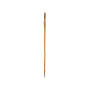 TAMDAR - Walking Pole TAMDAR - Walking Pole