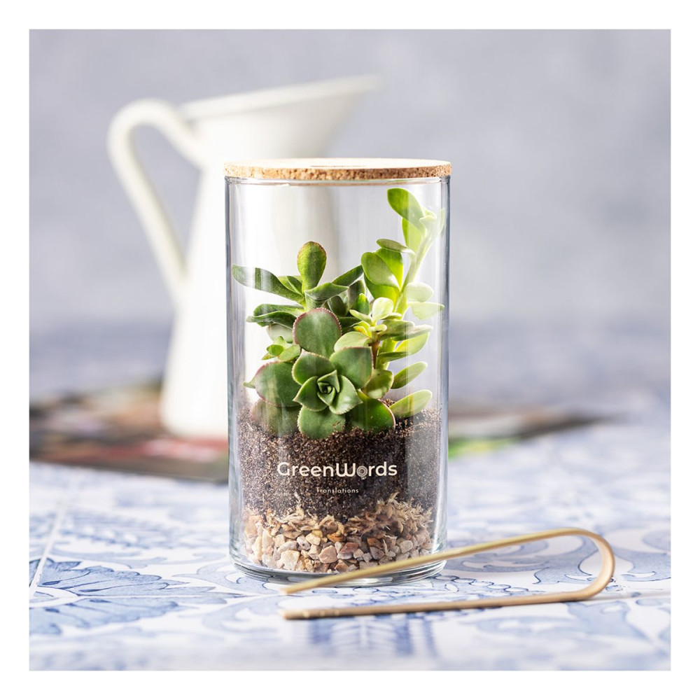 ANYMAK - Terrarium