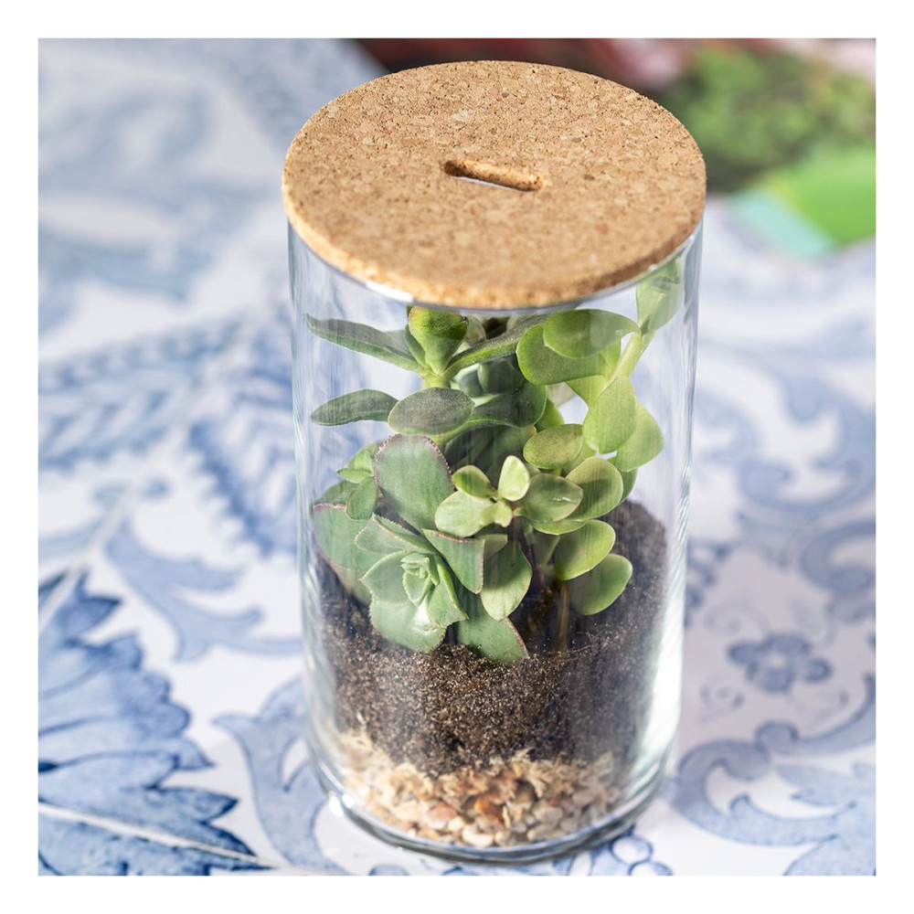 ANYMAK - Terrarium