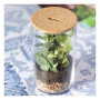 ANYMAK - Terrarium ANYMAK - Terrarium