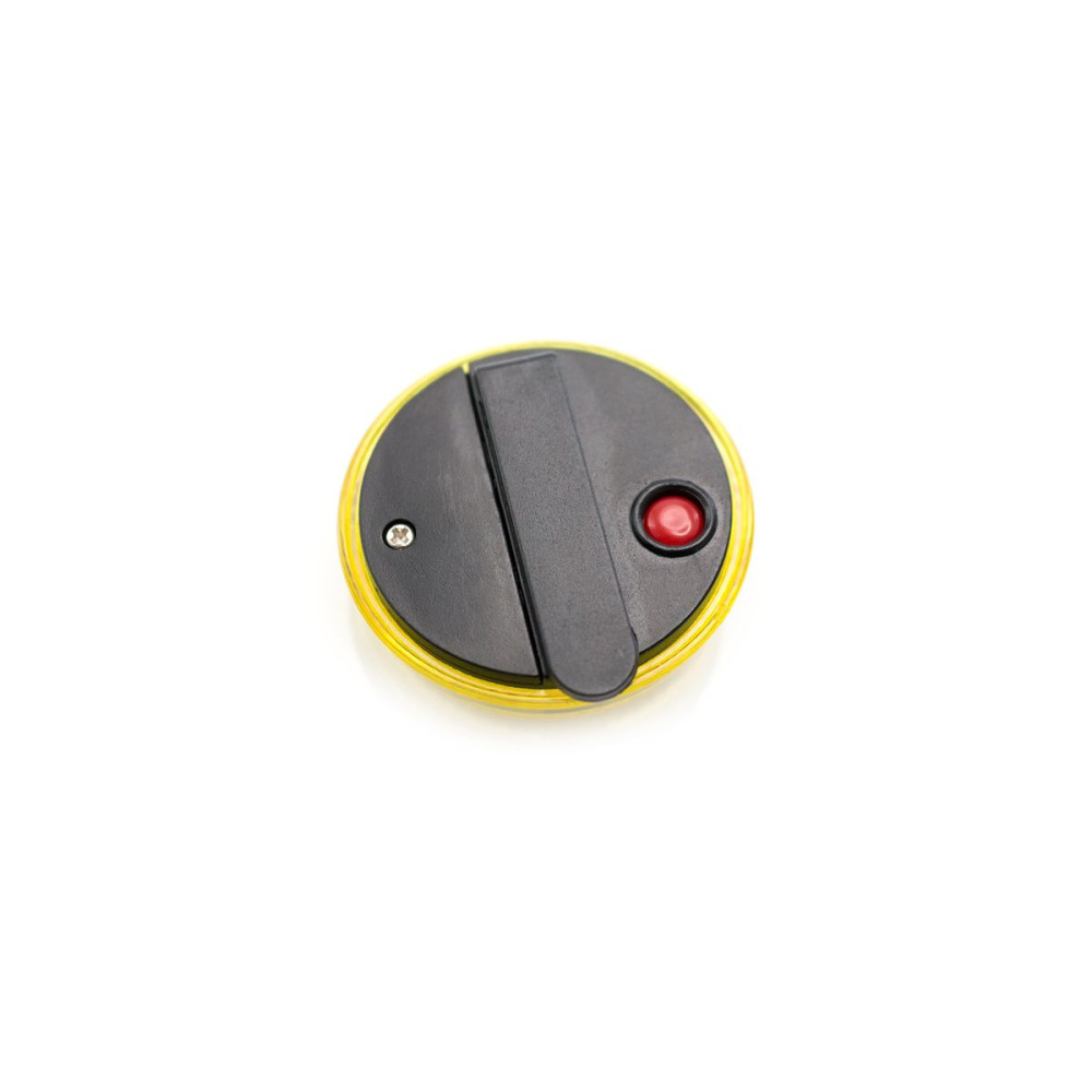 FLASH - Security Light