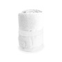 GYMNASIO - Absorbent Towel GYMNASIO - Absorbent Towel