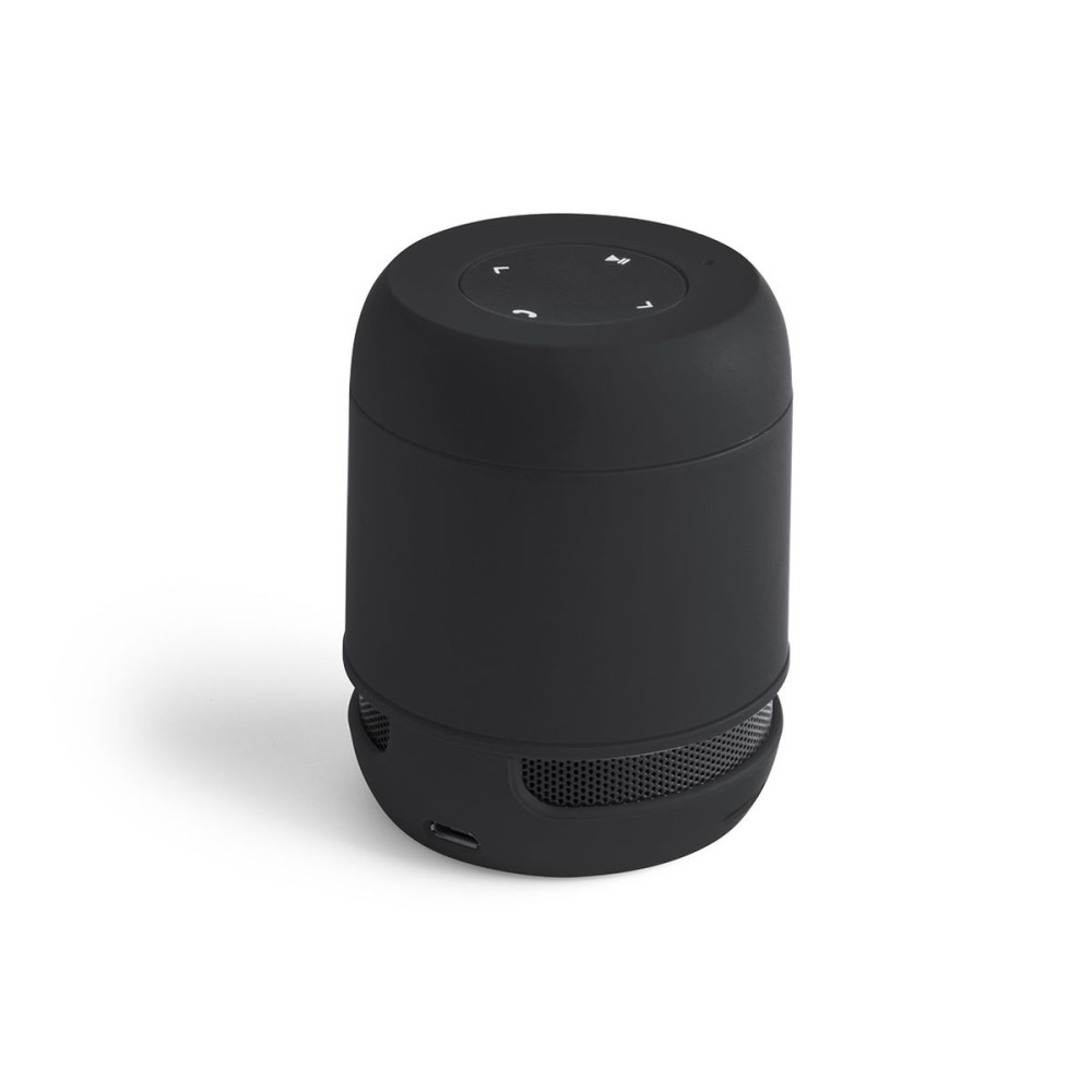 BRAISS - Speaker