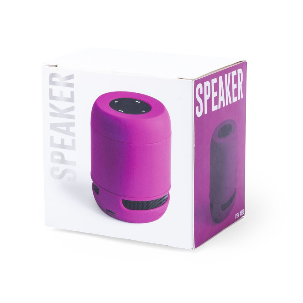 BRAISS - Speaker