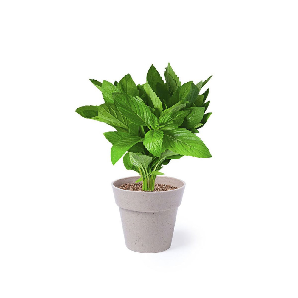 NERTEL - Flowerpot Set