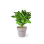 NERTEL - Flowerpot Set NERTEL - Flowerpot Set