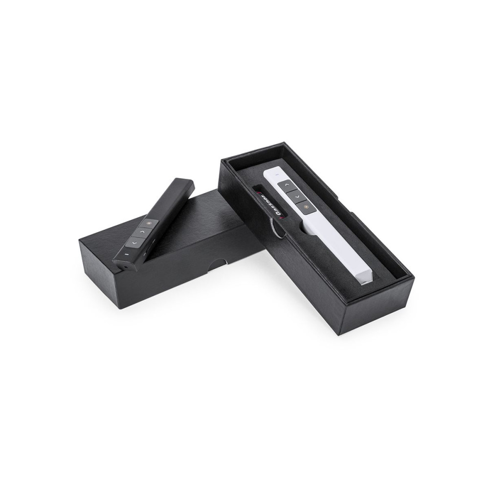HASLAM - Presenter Laser Pointer