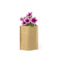 SOBER - Grow Pouch SOBER - Grow Pouch