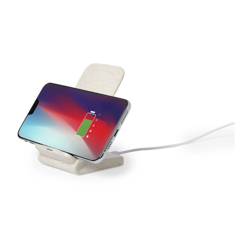 BIRNIAX - Charger
